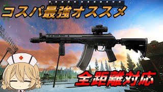 今の時期は特にオススメ武器！！【タルコフ】 【EFT】【VOICEVOX】