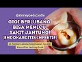 Dari Gigi Berlubang Jadi Sakit Jantung?? | Endokarditis Infektif