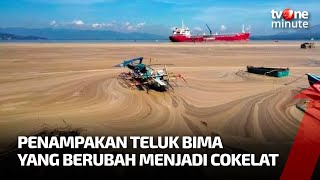 Perairan Teluk Bima Berubah Menjadi Cokelat  Apakah Tercemar Limbah  | tvOne Minute