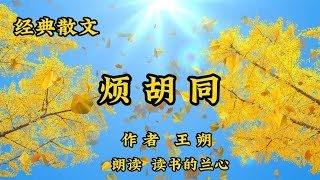 经典散文《烦胡同》，作者王朔，老北京胡同里的记忆