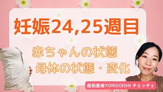 【妊娠２４、２５週】赤ちゃんの状態、母体の状態・変化（シングルマザーだけど妊娠中　産前産後YORISOISHIチェッチェ）