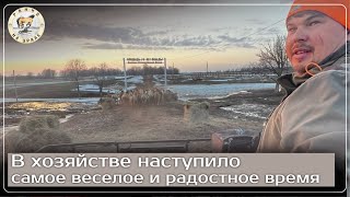 Приехали представители из Турции | Таких больших паводков мы не видели давно | Деревенские будни