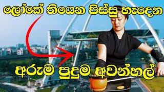 ලෝකයේ තිබෙන පිස්සු හැදෙන අවන්හල් 05 ක් | Unusual Restaurants Around The World