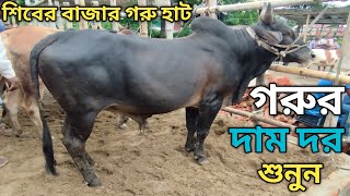 শিবের বাজার গরু হাট - গরুর দাম দর শুনুন - শিবের বাজার গরুর হাট - বাদাঘাট ,  জালালাবাদ , সিলেট