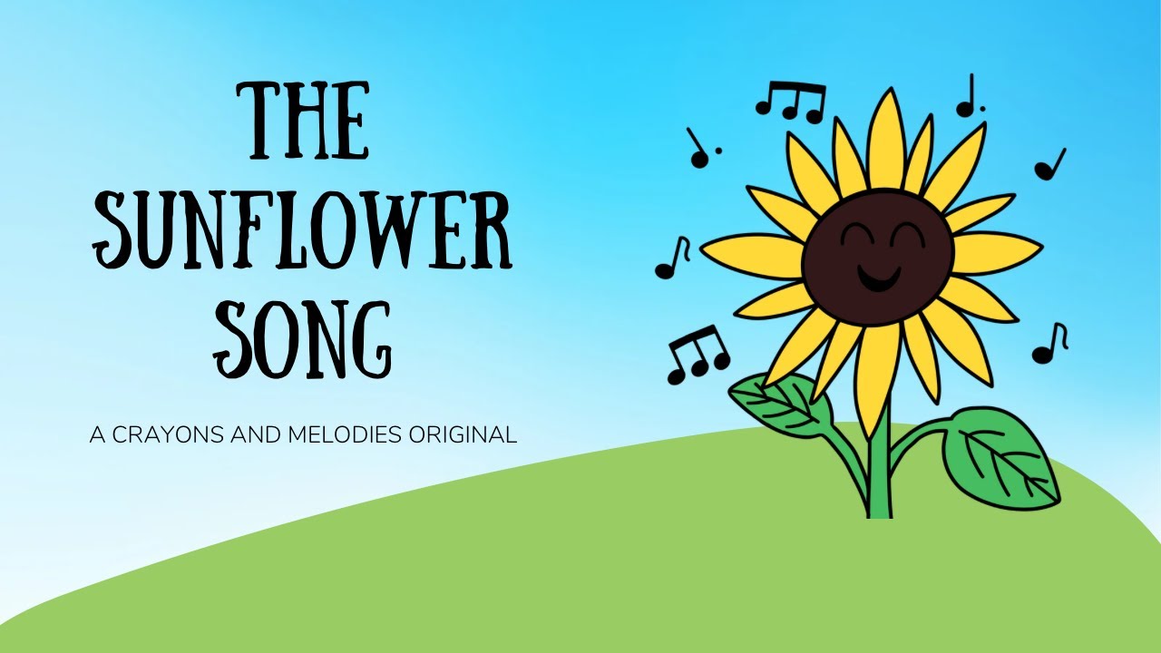 Sunflowers Shortvideo Nature Foryou Youtube