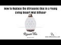 How to Replace the Ultrasonic Disc in a Young Living Desert Mist Diffuser and Lantern Diffuser