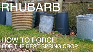 How to force Rhubarb