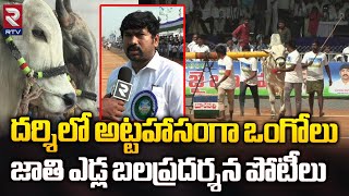 ఒంగోలు జాతి ఎద్దుల పోటీలు | Ongole Bull Race Competition | Darshi | RTV