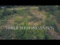 Helping Texas Landowners to Prevent Timber Theft