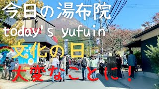 【今日の湯布院】文化の日の祭日も大変な事になってました　駅から湯の坪街道、金鱗湖を通る　#湯布院 #湯の坪街道 #yufuin