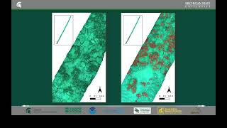 CS 04 Informed Regional Substrate Mapping at High Resolution