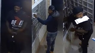 Police searching for suspects in mail theft
