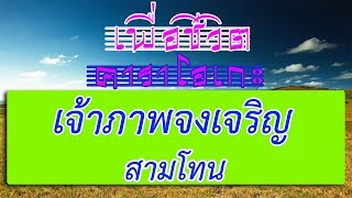 เจ้าภาพจงเจริญ - สามโทน | เพื่อชีวิต คาราโอเกะ