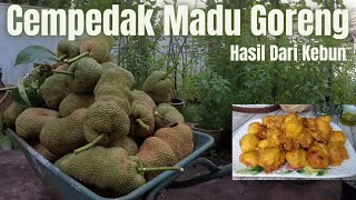 ADUNAN RANGGUP CEMPEDAK MADU GORENG | RESEPI CEMPEDAK GORENG 4 BAHAN | JUALAN LARIS MANIS