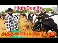 அத்தனையும் அற்புதம் HF High quality மாடுகள் கர்நாடகாவிற்கு செல்லும் ஈரோடு மாடுகள் Erode Manikandan