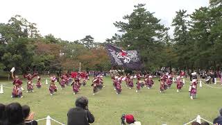 【4K】躍動｜百花不撓（第一回いずもだんだん祭り/神苑会場)