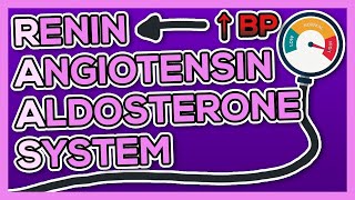 Renin Angiotensin Aldosterone System (RAAS) - Nursing - Blood Pressure effects in 6 minutes!