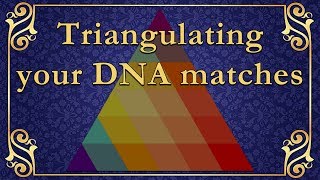 Ancestrydna match triangulation to find or prove your family tree