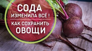 Сода изменила ВСЁ 🥕Хранение СВЕКЛЫ и МОРКОВИ на зиму 🥕 Супер способ хранения овощей