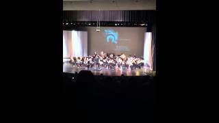 Skyfall; by The HCHS Band