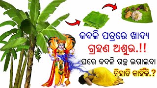 କଦଳି ପତ୍ରରେ ଖାଇବା ଆପଣଙ୍କୁ ପସନ୍ଦ..??ଏହା କାହିଁକି ଆଶୁଭ.,କଦଳି ଗଛ ଘରେ ରହିବା ଉଚିତ ନା ଉଚିତ ନୁହେଁ..