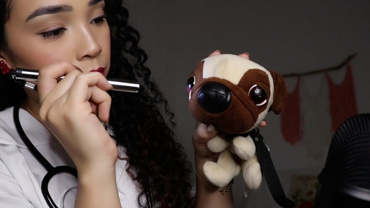 Asmr Veterinária Roleplay Youtube