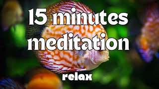 Aquatic Serenity: 15-Minute Relaxation