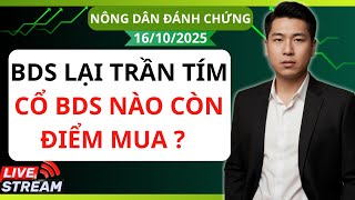 Chứng khoán hôm nay / Nhận định thị trường : BDS lại trần tím - Cổ phiếu BDS nào còn điểm đẹp?