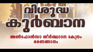 Holy Qurbana | 6am | 26/01/25 | St. Alphonsa Shrine, Bharananganam | Fr. Thomas Thottumkal