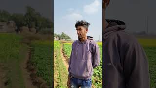 পড়ালেখা করে কি হবে তোদের চাষ করায়  ঠিক আছে ##funnycomedey viral shorts video 😂😂😂