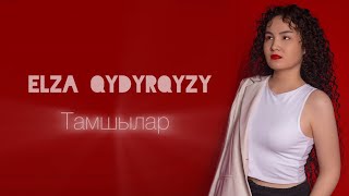 Elza Qydyrqyzy - Tamşylar (cover)