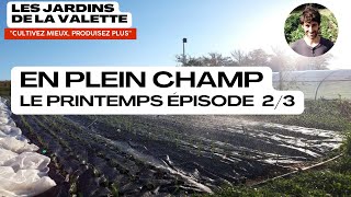 Maraîchage sur Petite Surface: Découverte du Printemps - Épisode 2/3 : Le plein champ