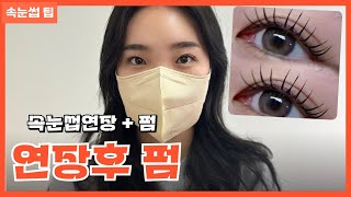 속눈썹독학 펌포인트연장 팁 방출 ( 슈퍼믹스 , 롤리킹 사용 )