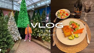 A DAY IN OUR LIFE | shopping for a christmas tree