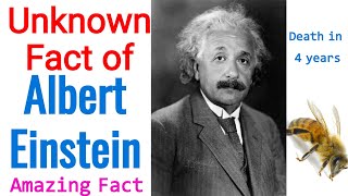 Honey bee and Einstein interesting Facts (Albert Einstein) #Shorts #knowledge #shortvideos