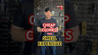 Cheap Accurate Clone Fragrances that Smell Expensive! Spring Summer cheap clone fragrances colognes