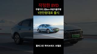 이 정도면 작정? 아님 각성? #BYD