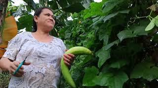 Namitas ng konting Gulay pagsahog ng Ulam #plants #garden #farming #food