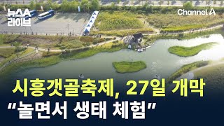 시흥갯골축제, 27일 개막…“놀면서 생태 체험” / 채널A / 뉴스A 라이브