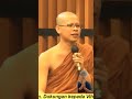 Bhante Attadhiro #ceramah #buddha #dhamma #sangha #buddhis #motivation