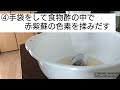 【火を使わない花びら染めの方法】自由研究におすすめ！赤紫蘇で簡単・手軽に草木染め♪　見学者：茶トラ猫まりも エキゾ ショートver.