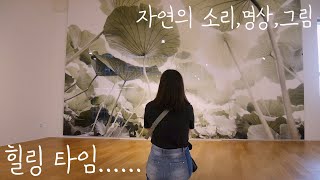 8년차 유튜버의 일상 Ep.23ㅣ'자연의 소리' 전시 한 미니유 ( feat.헬로우뮤지엄)