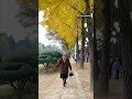 Nami Island Surganya Musim Gugur 🍁 #viral #namiisland #autumn #