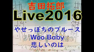 tyLive2016⑤　(やせっぽちのブルース～Woo Baby～悲しいのは)