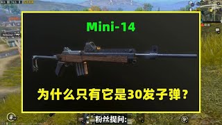 为什么只有Mini14是30发子弹？其他连狙都是10发20发？