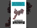 Discover the relationship between PARP proteins & BRCA mutations in cancer development and treatment