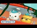 Octonauts - 'Any Fin' Is Possible | Cartoons for Kids | Underwater Sea Education