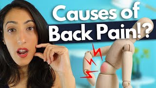 Four totally surprising causes of Back Pain