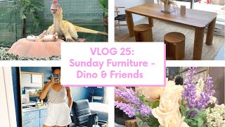 VLOG 25: SUNDAY FURNITURE SHOWROOM - DINO \u0026 FRIENDS I BRITTANY JORDAN I WEEKLY VLOG