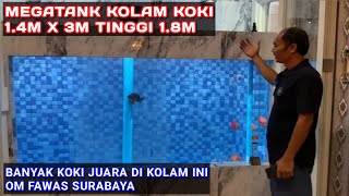 KOLAM MEGATANK IKAN KOKI 1.4 x 3 | Owner Bp Fawwas Tanjung perak Surabaya